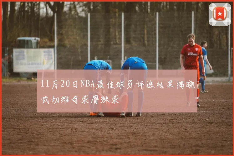 11月20日NBA最佳球员评选结果揭晓武切维奇荣膺殊荣