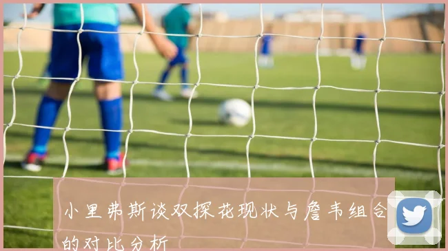 小里弗斯谈双探花现状与詹韦组合的对比分析
